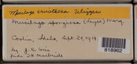 Image Associated With the Occurence